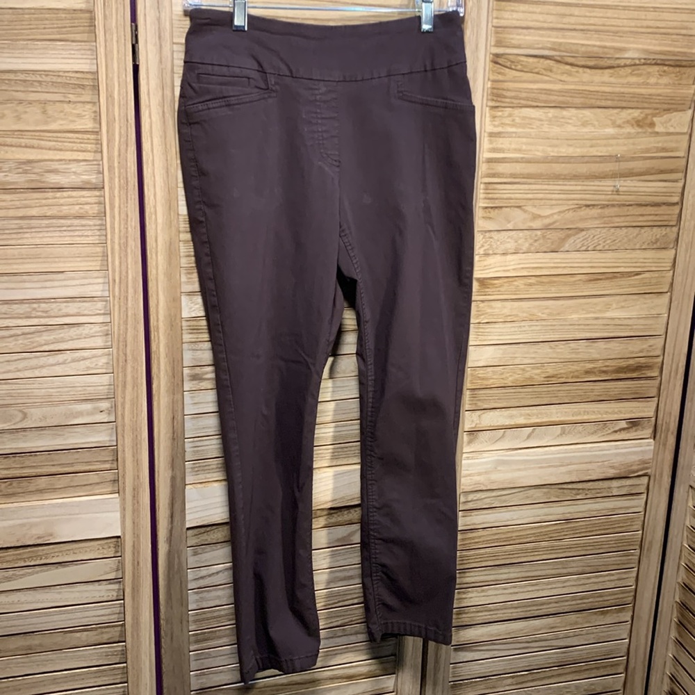 Westbound Petites Brown Pants 6p